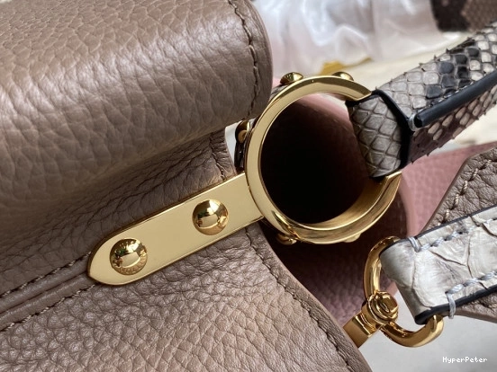 MM VUITTON CAPUCINES LOUIS 0810